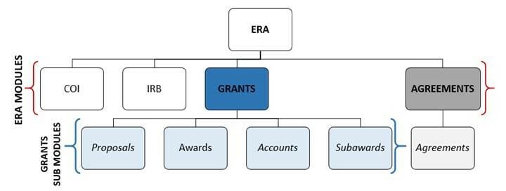 Organization chart with ERA at the top, leading to ERA modules COI, IRB, Grants, and Agreements. Grants is then broken down to submodules of Proposals, Awards, Accounts, Subawards. Subawards shares with Agreements Module above.